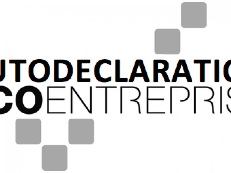 EcoEntreprise_Autodeclaration_Logo_Grey_FR_1.png