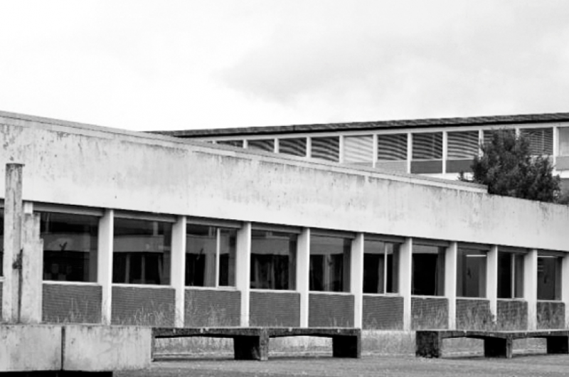 Cycle d’orientation du Renard