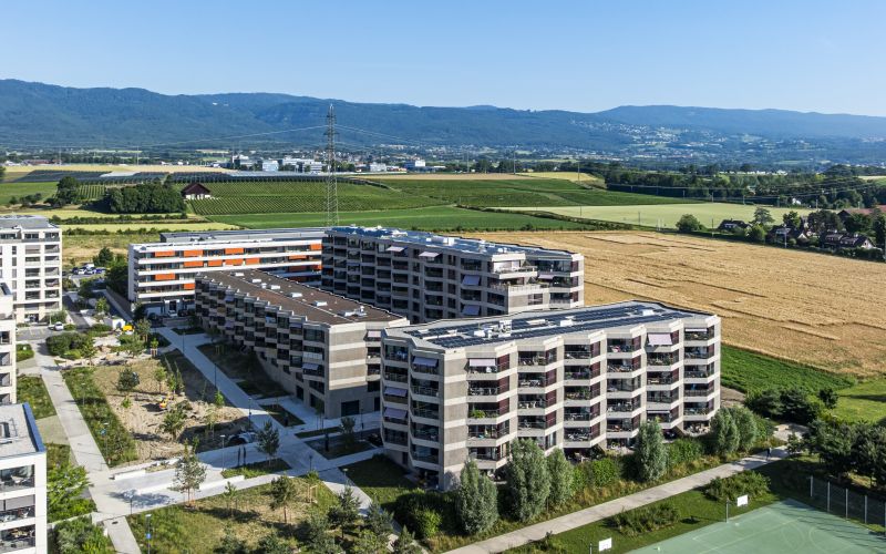 NYON - ALLEE DE LA PETITE PRAIRIE - JUIN 2025-7.jpg